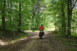 Piste typique en forêt
