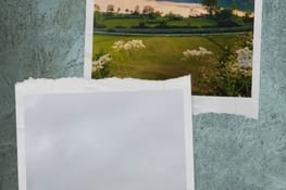 Du rêve à la réalité