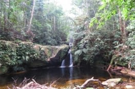 Après l'effort , le réconfort !