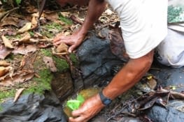 Source de pétrole en pleine forêt