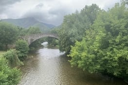 Pont de Saint-Etienne