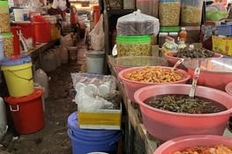Dans le marché.