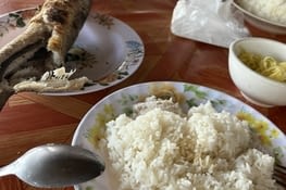 Poissonrizlegumes