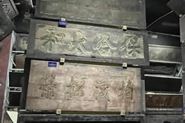 Les plaques