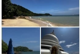 Jungle beach
