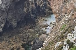 Photo du jour pour Véro  et vous, laquelle préférez-vous ?