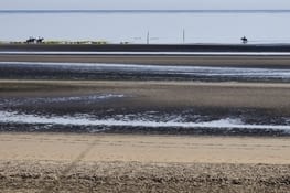 Le long d'une immense plage