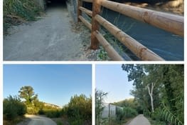 Quelques images des chemins