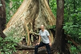 dans la forêt
