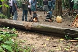 Shooting in the forest