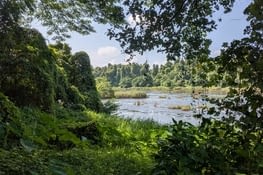 Petit coin de nature préservé