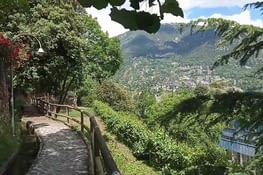 Photo avec les arbres en été lors d'une autre balade