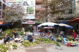Le marché