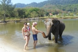 Avec les elephants !