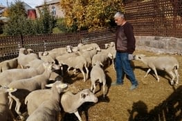 Le projet  à traduire en arménien