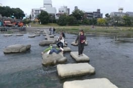 Une tortue, symbole de longévité