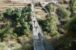 Poney a temps complet