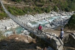 Les moutons du Nepal