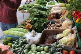 Visite d’un marché pour découvrir les légumes et fruits du pays