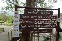 "Va te faire cuire un oeuf" qu'ils nous ont dit !