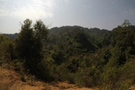 Végétation plus touffue du côté Ouest de Vang Vieng