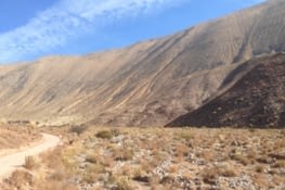 "Dans la vallée, ohoh, de l'Elqui, lalilali"