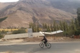 D'après l'AMA, aucune irrégularité n'a été trouvée dans les tests sanguins de Mlle Coralie