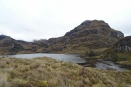 On s'y verrai bien là, avec un anneau maléfique en poche