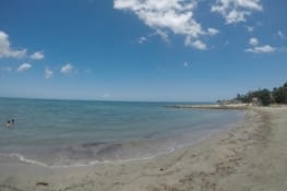 L'une des 2 ou 3 photos prises... Pas généreux