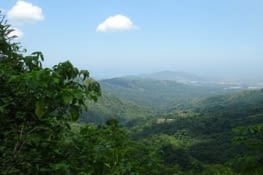 Première pause très agréable dans le parc de la Sierra Nevada