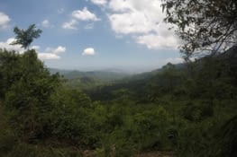 Très belle journée, en résumé