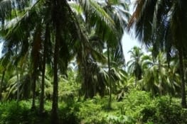 Comme vous pouvez le constater, l'environnement extérieur est plutôt sympa