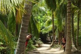 Une petite partie de cache-cache ?