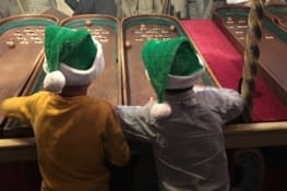 Les lutins verts, du père noël vert du Secours Populaire Français