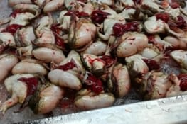 Une etale parmis d'autre