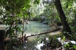 D'autres piscines naturelles