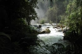 Instants de zénitude et surtout de fraicheur ( 35° C à LPB)