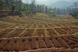 De Panauti à Namo Buddhaa