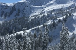 La montagne pleine de poudreuse