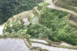 À flan de rizière, vaut mieux pas avoir le vertige ! Petite pensée pour toi phanosh!