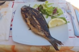 poisson tout frais