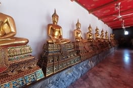 Galerie des bouddhas assis