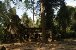 perdu dans la jungle