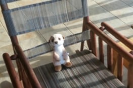 Digestion avant le départ