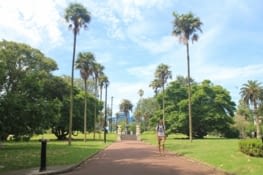 Albert Park Auckland