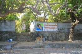 Closing up with the locals