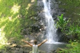 Deep forest and wild waters