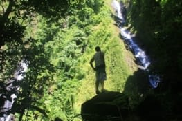 Zen attitude in the jungle