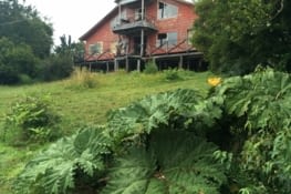 Maison en rénovation, futur B&B