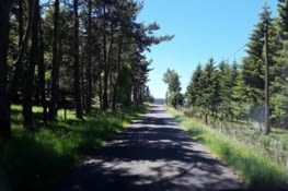 Bientôt la forêt laisse place à une nature verdoyante en ce mois de juin
